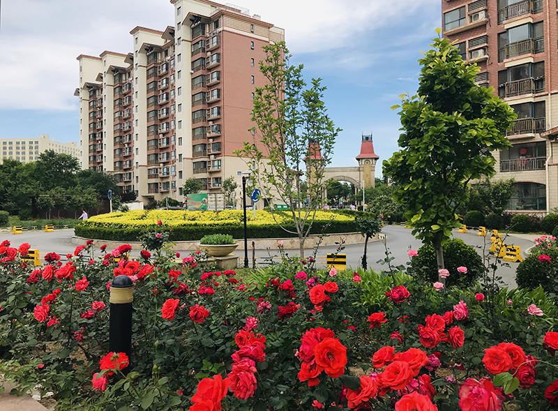 1577776590052175703.jpg 北京珠光御景嘉园.jpg