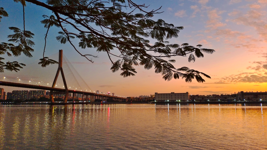 最美瞬间|珠光物业2023第四届摄影大赛作品赏析（一）